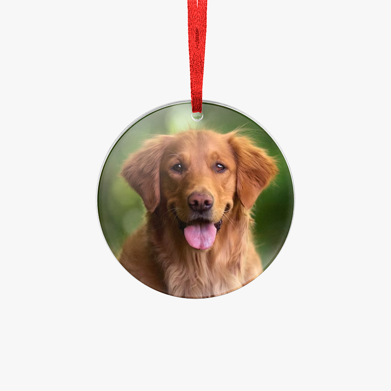 Acrylic ornaments printed with a dog