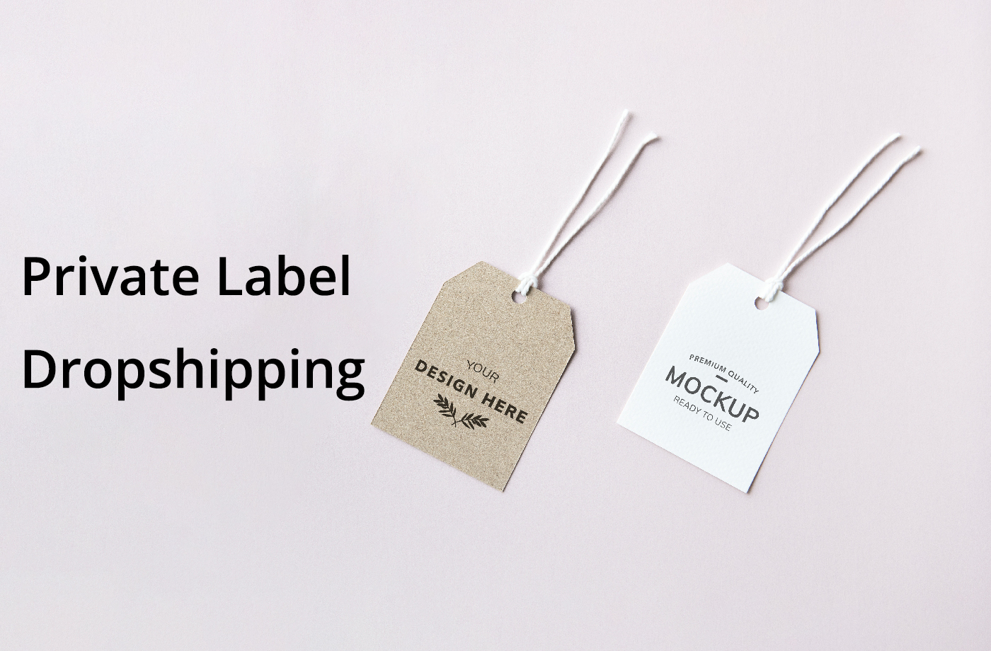 Private Label Dropshipping