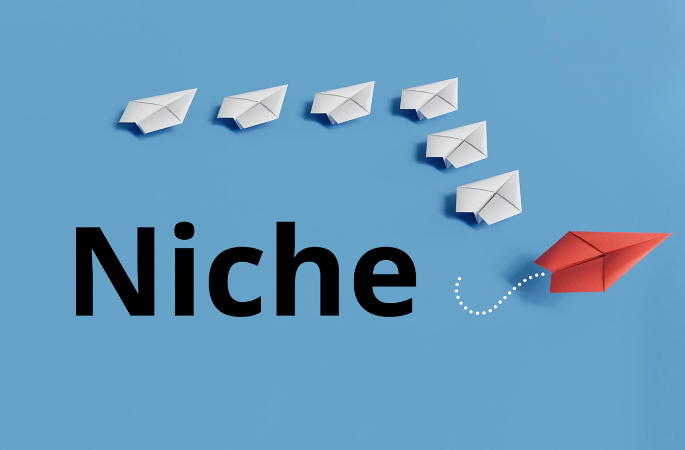 What Is a Niche